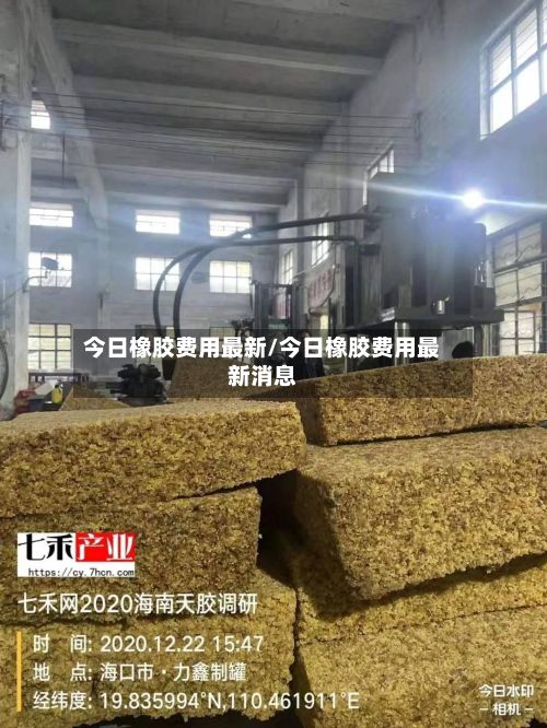 今日橡胶费用最新/今日橡胶费用最新消息-第2张图片