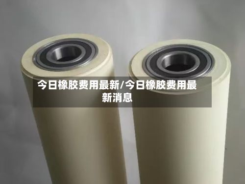 今日橡胶费用最新/今日橡胶费用最新消息-第3张图片