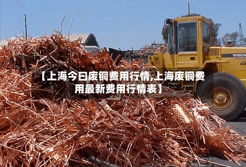 【上海今曰废铜费用行情,上海废铜费用最新费用行情表】-第2张图片