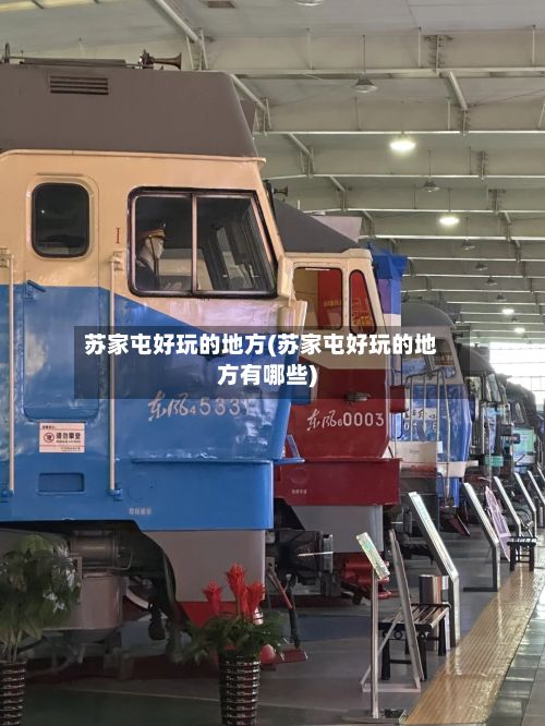 苏家屯好玩的地方(苏家屯好玩的地方有哪些)