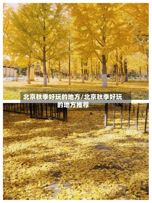 北京秋季好玩的地方/北京秋季好玩的地方推荐-第2张图片