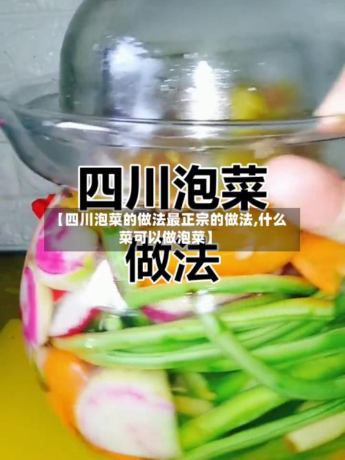 【四川泡菜的做法最正宗的做法,什么菜可以做泡菜】