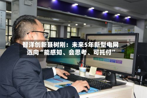 智洋创新聂树刚：未来5年新型电网迈向“能感知	、会思考、可托付	”-第2张图片