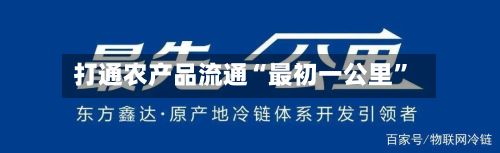 打通农产品流通“最初一公里”