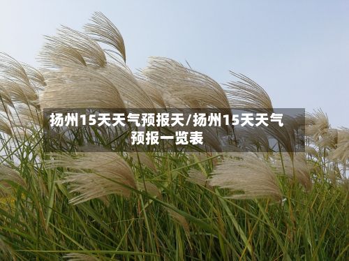 扬州15天天气预报天/扬州15天天气预报一览表-第2张图片