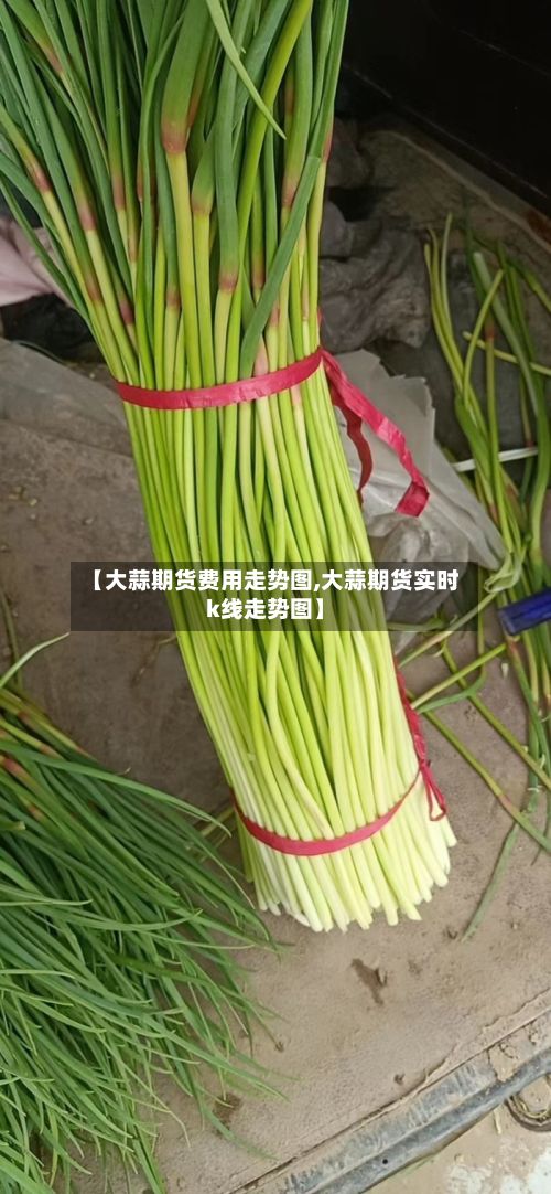 【大蒜期货费用走势图,大蒜期货实时k线走势图】-第2张图片