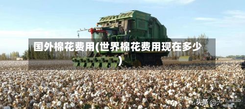 国外棉花费用(世界棉花费用现在多少)-第2张图片
