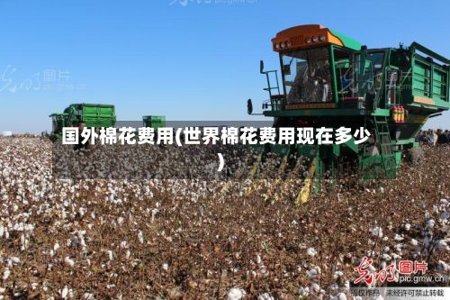 国外棉花费用(世界棉花费用现在多少)