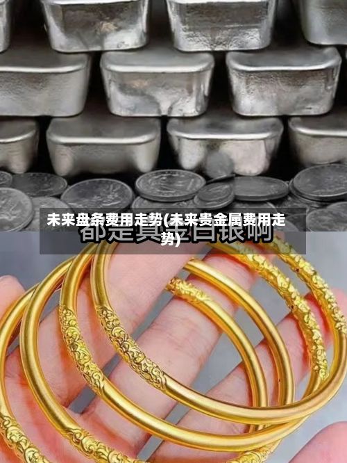 未来盘条费用走势(未来贵金属费用走势)-第1张图片