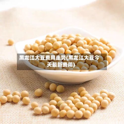 黑龙江大豆费用走势(黑龙江大豆今天最新费用)
