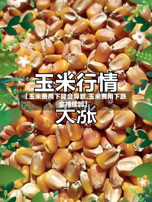 【玉米费用下降会导致,玉米费用下跌会持续吗】