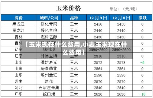 【玉米现在什么费用,小麦玉米现在什么费用】