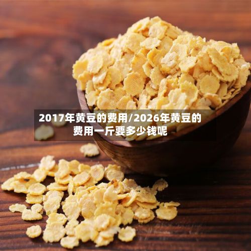 2017年黄豆的费用/2026年黄豆的费用一斤要多少钱呢-第2张图片