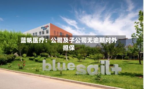 蓝帆医疗：公司及子公司无逾期对外担保-第3张图片