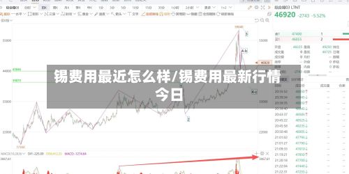 锡费用最近怎么样/锡费用最新行情 今日