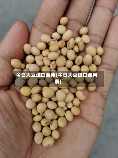 今日大豆进口费用(今日大豆进口费用表)