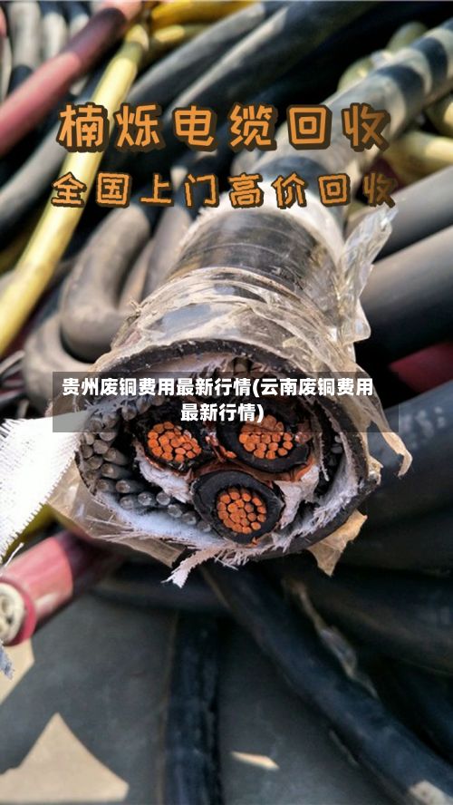 贵州废铜费用最新行情(云南废铜费用最新行情)-第2张图片
