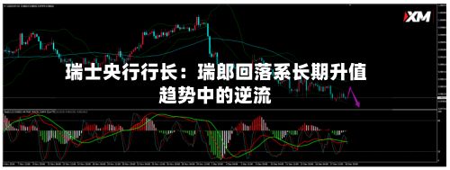 瑞士央行行长:瑞郎回落系长期升值趋势中的逆流-第3张图片