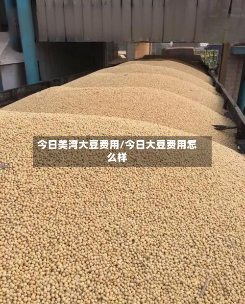 今日美湾大豆费用/今日大豆费用怎么样