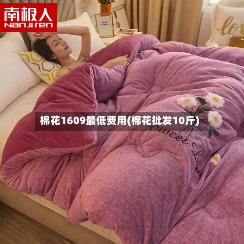 棉花1609最低费用(棉花批发10斤)-第3张图片