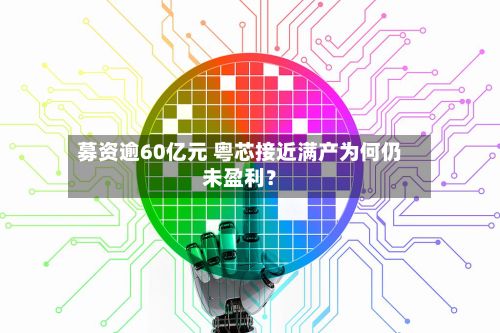 募资逾60亿元 粤芯接近满产为何仍未盈利?-第2张图片