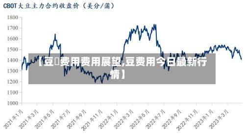 【豆粨费用费用展望,豆费用今日最新行情】