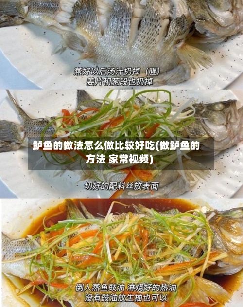 鲈鱼的做法怎么做比较好吃(做鲈鱼的方法 家常视频)-第3张图片