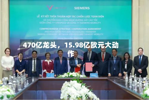 470亿龙头，15.98亿欧元大动作-第2张图片