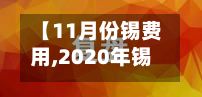 【11月份锡费用,2020年锡费用】