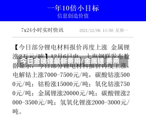 今日金属锂最新费用/金属锂 费用-第2张图片