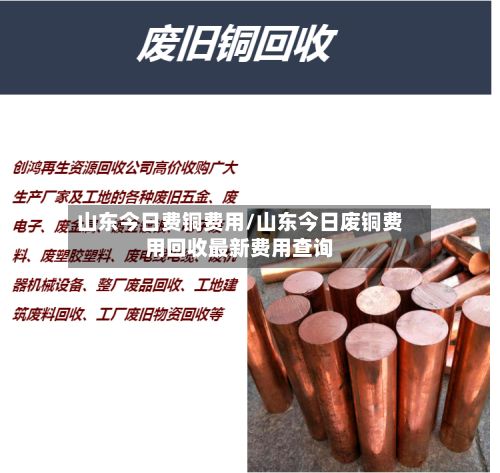 山东今日费铜费用/山东今日废铜费用回收最新费用查询