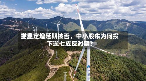 世界实业定增延期被否，中小股东为何投下逾七成反对票？
