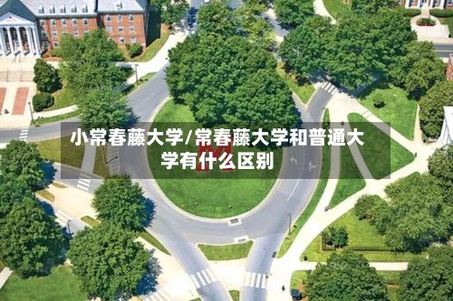 小常春藤大学/常春藤大学和普通大学有什么区别-第2张图片