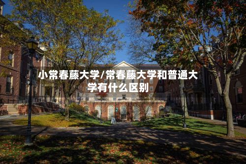 小常春藤大学/常春藤大学和普通大学有什么区别