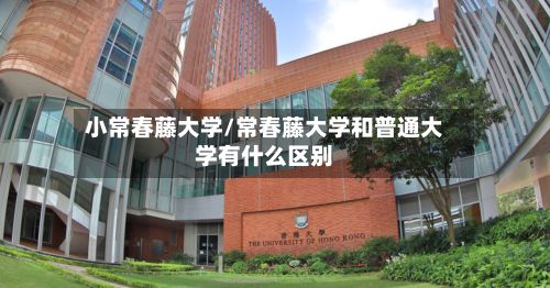 小常春藤大学/常春藤大学和普通大学有什么区别-第3张图片