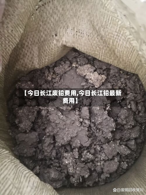 【今日长江废铅费用,今日长江铅最新费用】