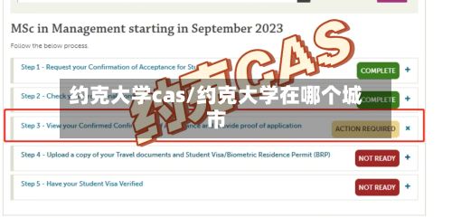 约克大学cas/约克大学在哪个城市