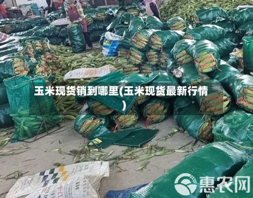 玉米现货销到哪里(玉米现货最新行情)-第2张图片