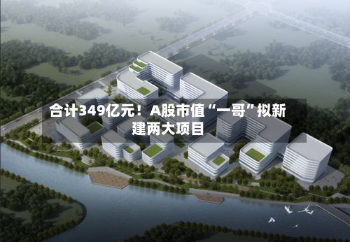 合计349亿元！A股市值“一哥	”拟新建两大项目-第2张图片