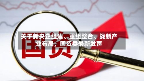 关于新央企组建、重组整合	、战新产业布局，国资委最新发声-第3张图片