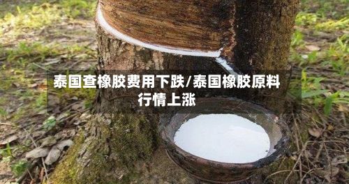 泰国查橡胶费用下跌/泰国橡胶原料行情上涨-第2张图片