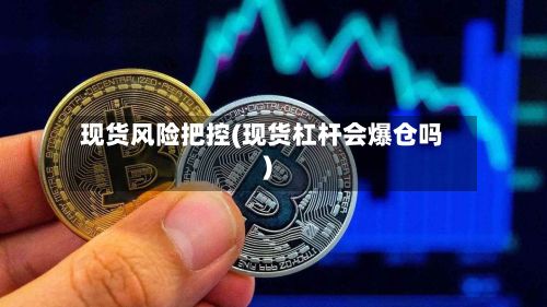 现货风险把控(现货杠杆会爆仓吗)-第3张图片