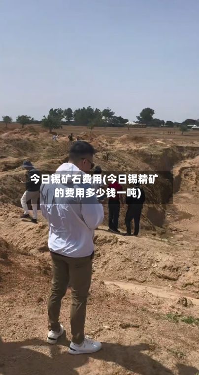 今日锡矿石费用(今日锡精矿的费用多少钱一吨)-第2张图片