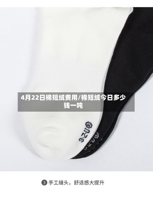 4月22日棉短绒费用/棉短绒今日多少钱一吨