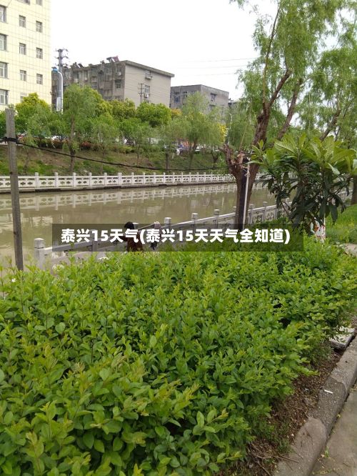 泰兴15天气(泰兴15天天气全知道)-第3张图片
