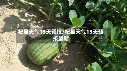 杞县天气15天预报/杞县天气15天预报最新-第2张图片