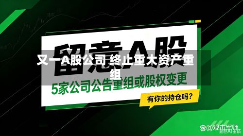 又一A股公司 终止重大资产重组-第3张图片