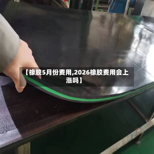 【橡胶5月份费用,2026橡胶费用会上涨吗】-第2张图片