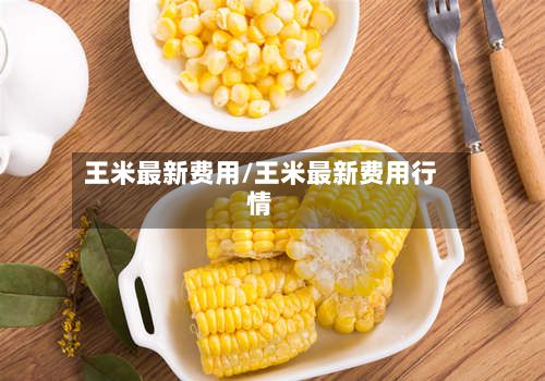 王米最新费用/王米最新费用行情