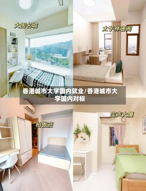 香港城市大学国内就业/香港城市大学国内对标-第2张图片